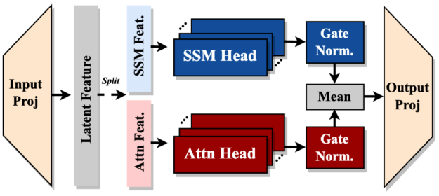 A diagram showing the architecture of a dual-path attention mechanism. The flow starts with an Input Projection, leading to Latent Feature extraction which splits into two parallel paths. The upper path (in blue) contains SSM Feature processing through SSM Heads and Gate Normalization. The lower path (in red) processes Attention Features through Attention Heads and Gate Normalization. Both paths converge at a Mean operation before final Output Projection. Arrows indicate the flow of data through the system.
