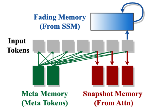 A diagram illustrating the Fading Memory architecture from SSM (State Space Model). The image shows three layers: At the top is a blue rectangular box labeled 'Fading Memory (From SSM)'. Below it are seven gray input tokens arranged horizontally. At the bottom are two sets of memory blocks: on the left are two green blocks labeled 'Meta Memory (Meta Tokens)', and on the right are three red blocks labeled 'Snapshot Memory (From Attn)'. Green arrows connect the Meta Memory to the input tokens, while red arrows connect the Snapshot Memory to the rightmost input tokens. A blue arrow loops back from the Fading Memory box to itself.
